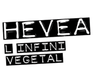 banner hevea